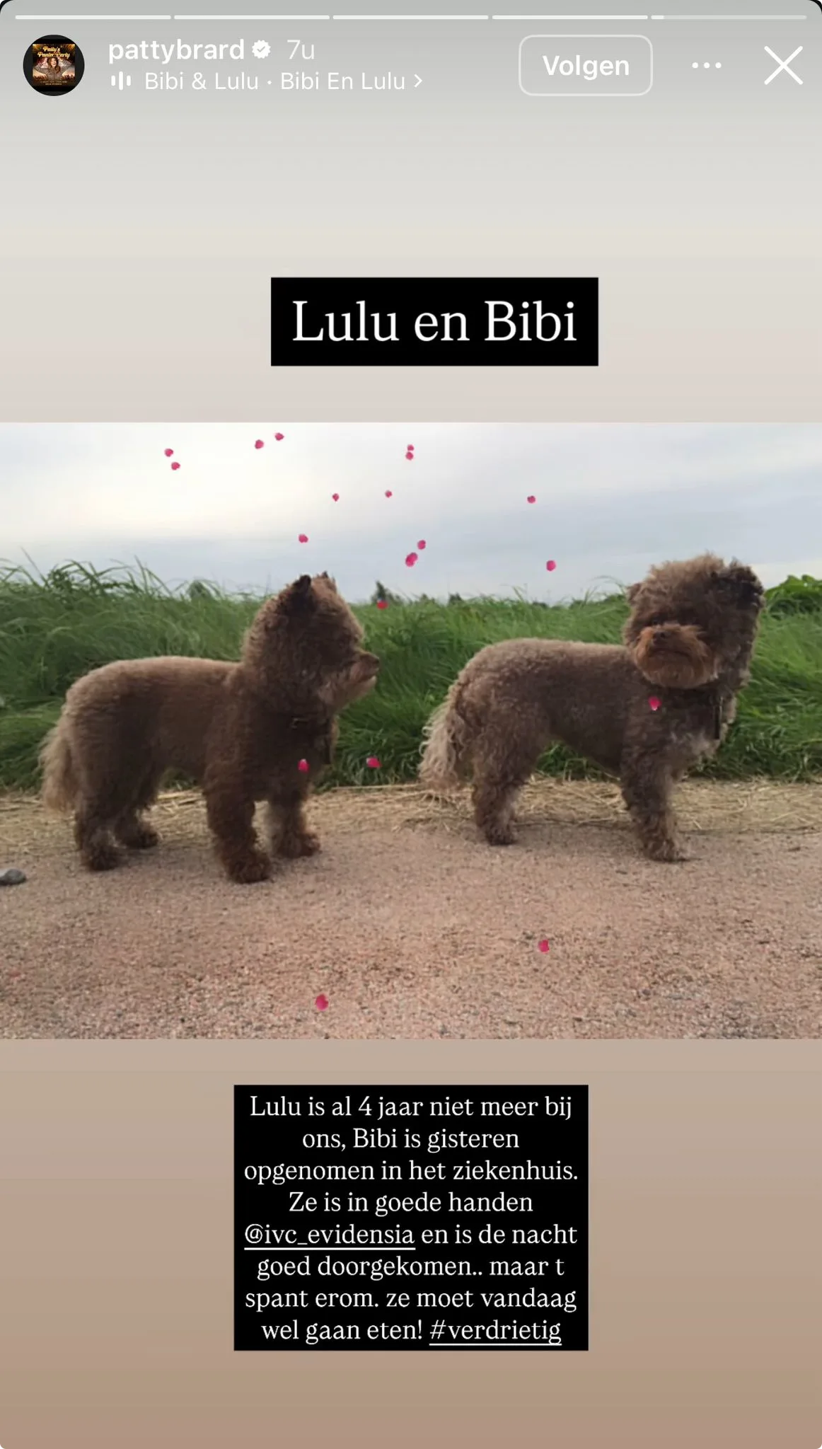 Bron: Instagram Patty Brard 