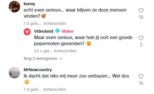 Bron: TikTok Videoland
