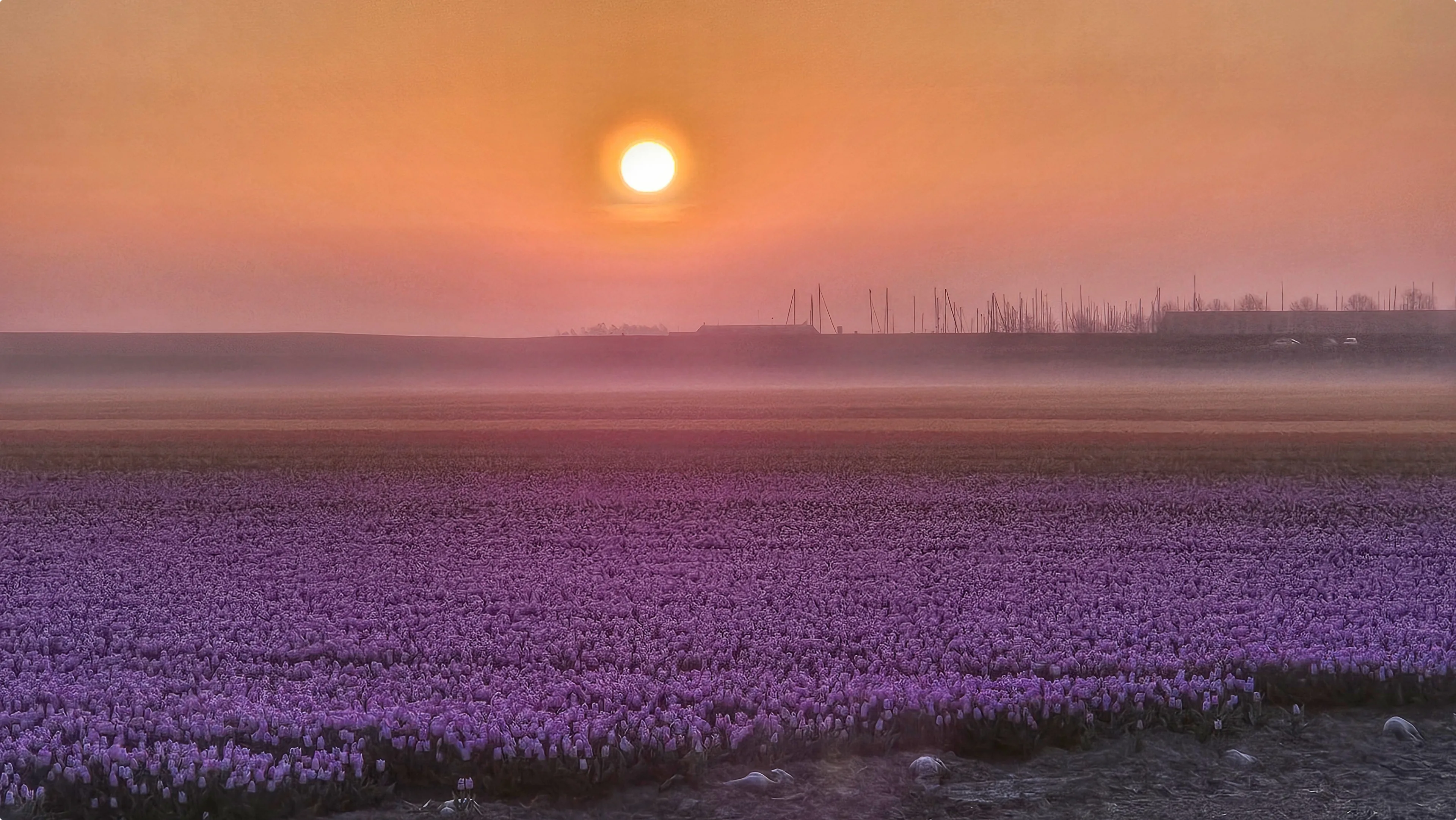 Dronten. Fotograaf: Jannine Kroeze