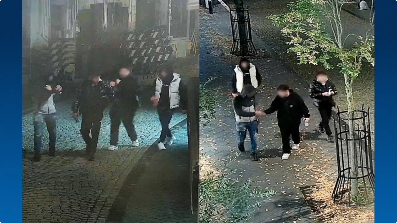 Verdachten van verkrachtingszaak. Beeld: Politie