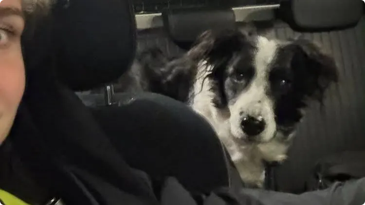 Beeld: Politie Langstraat