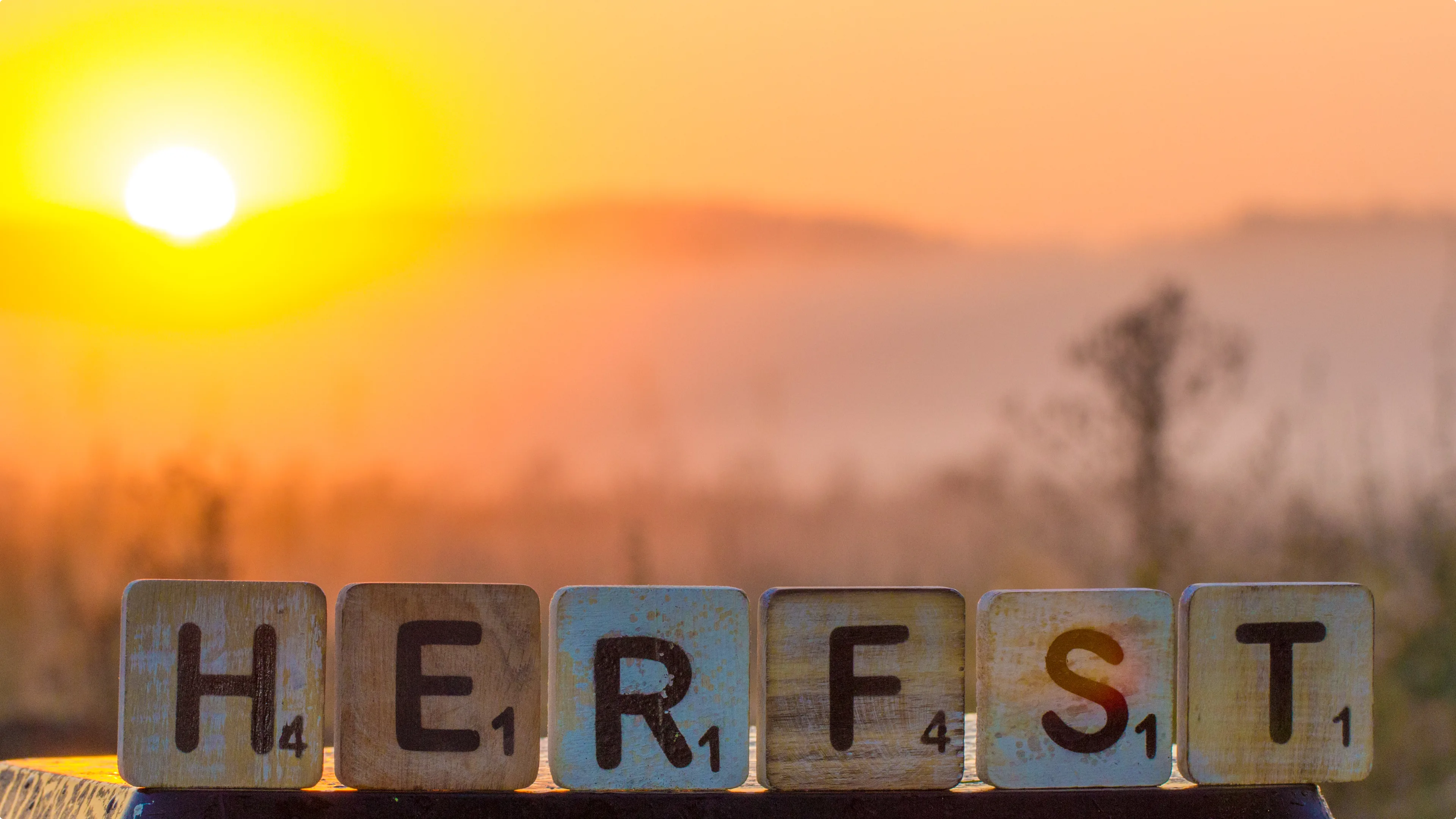 Buurmalsen. Foto: Ab Donker