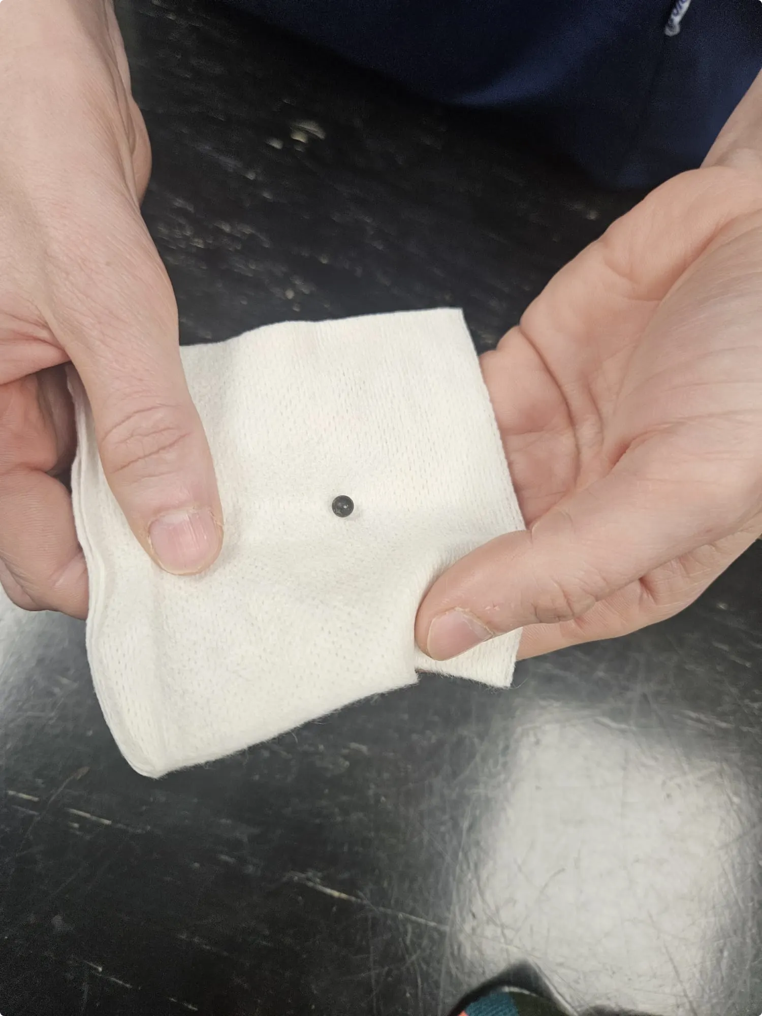 De kogel die in de buik van Bo is gevonden. Foto: Dierendokters Zandvoort