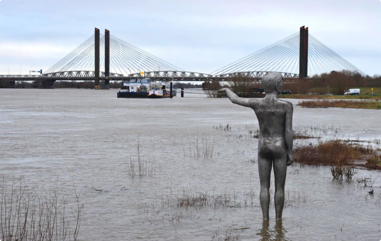 Hoogwater in de Waal. Beeld: Bart Meesters