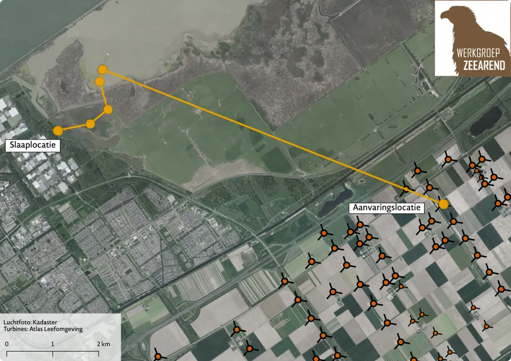 De bewegingen van de laatste dag van zeerarend Spijk 2020. De oranje stippen zijn locatiebepalingen. Kleine turbinesymbolen zijn turbines met ashoogte tot 40 meter, grote symbolen hoger dan dat.