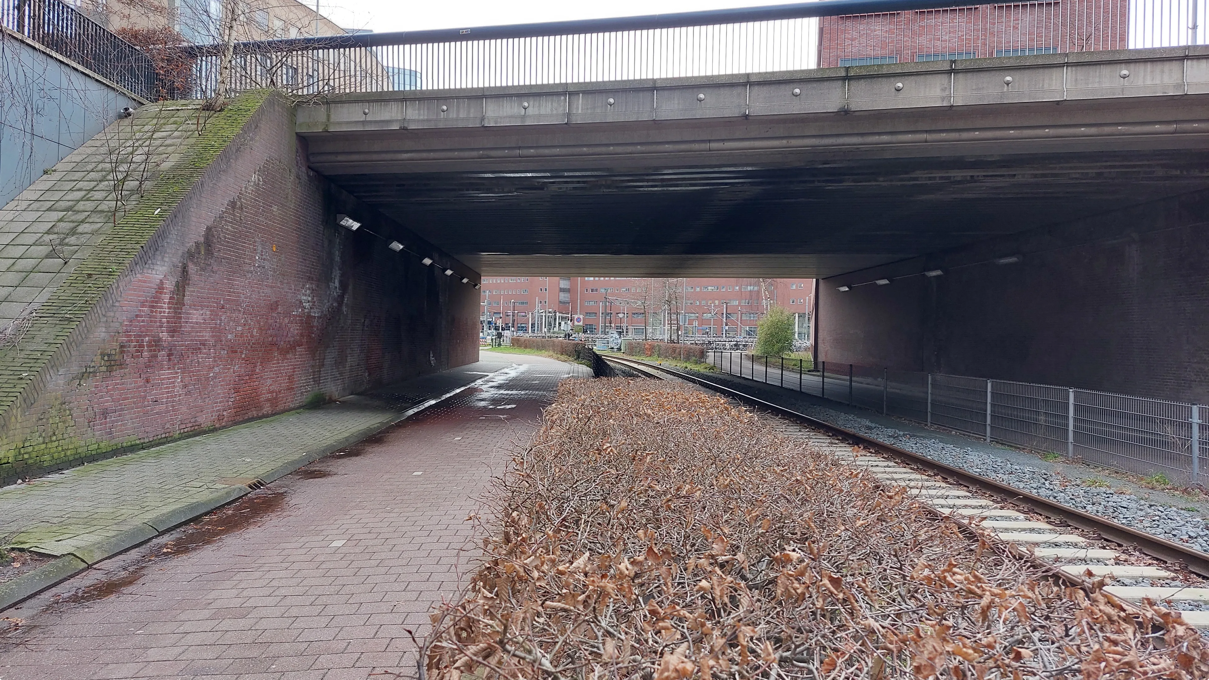 Het viaduct waar de verkrachting gebeurde, anno 2025. Beeld: Politie