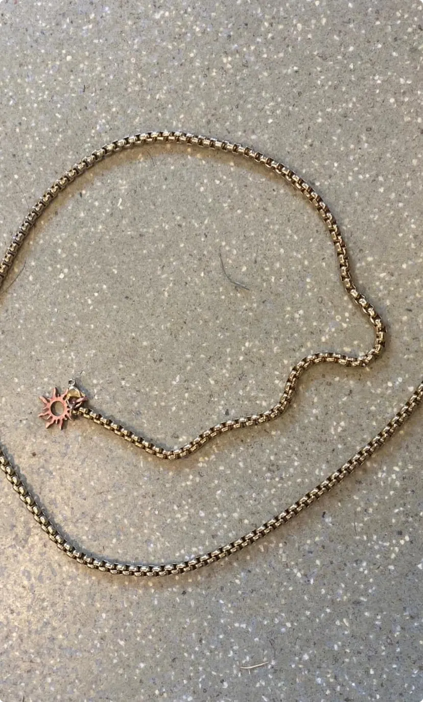 Kitten met ketting strak om nek aangetroffen in Rotterdam