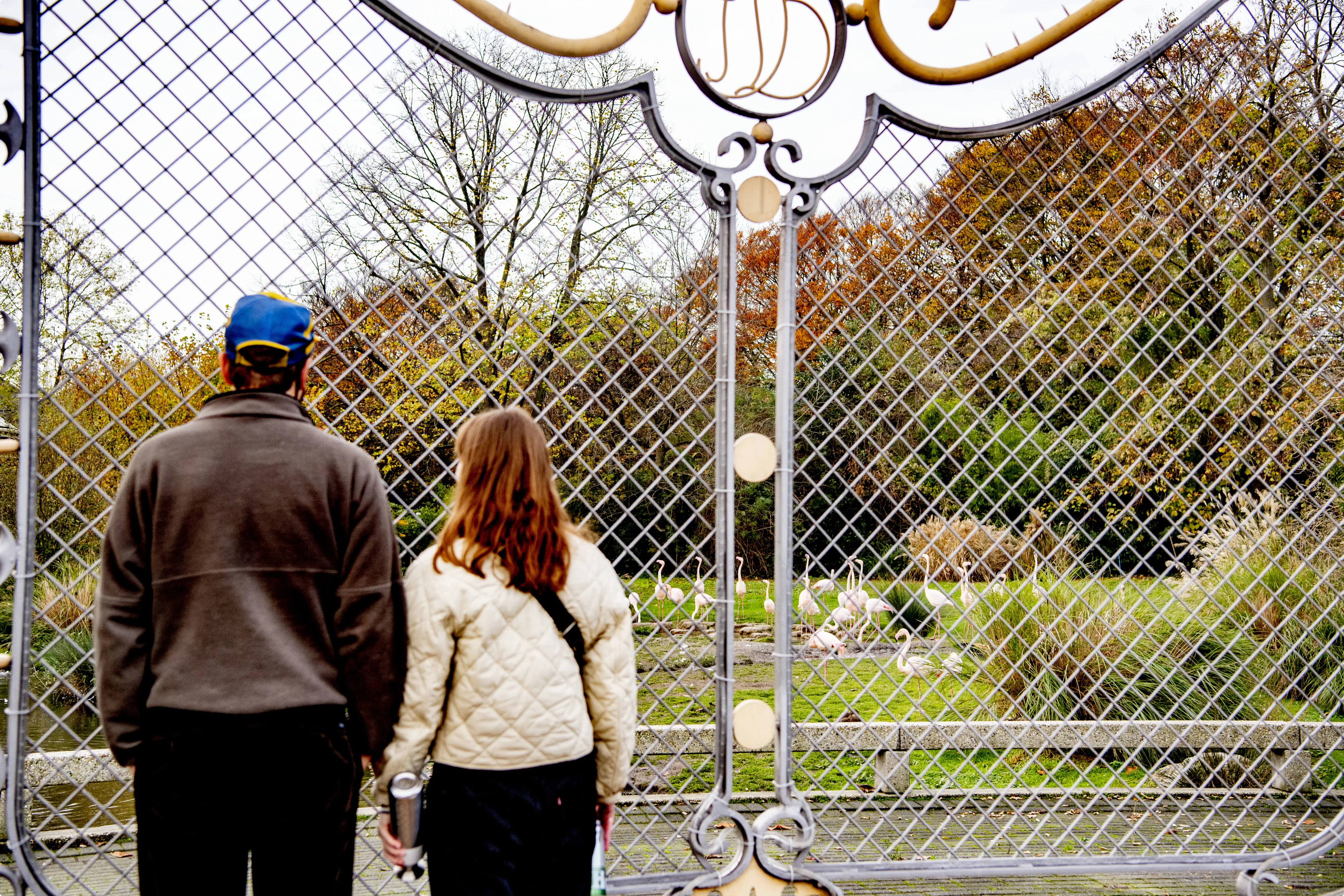 'Aangifte als Blijdorp uit geldnood gezonde dieren afmaakt'
