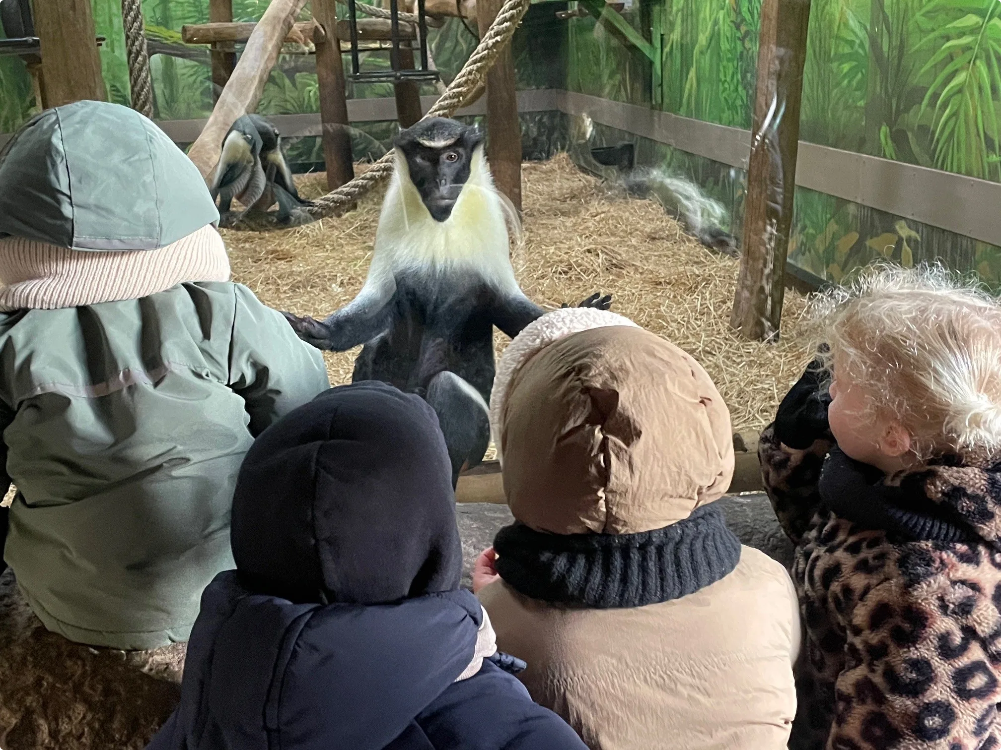 Beeld: Diergaarde Blijdorp