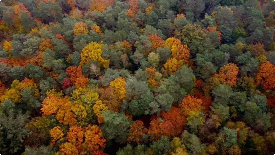 Leerdam. Foto: John Oomen