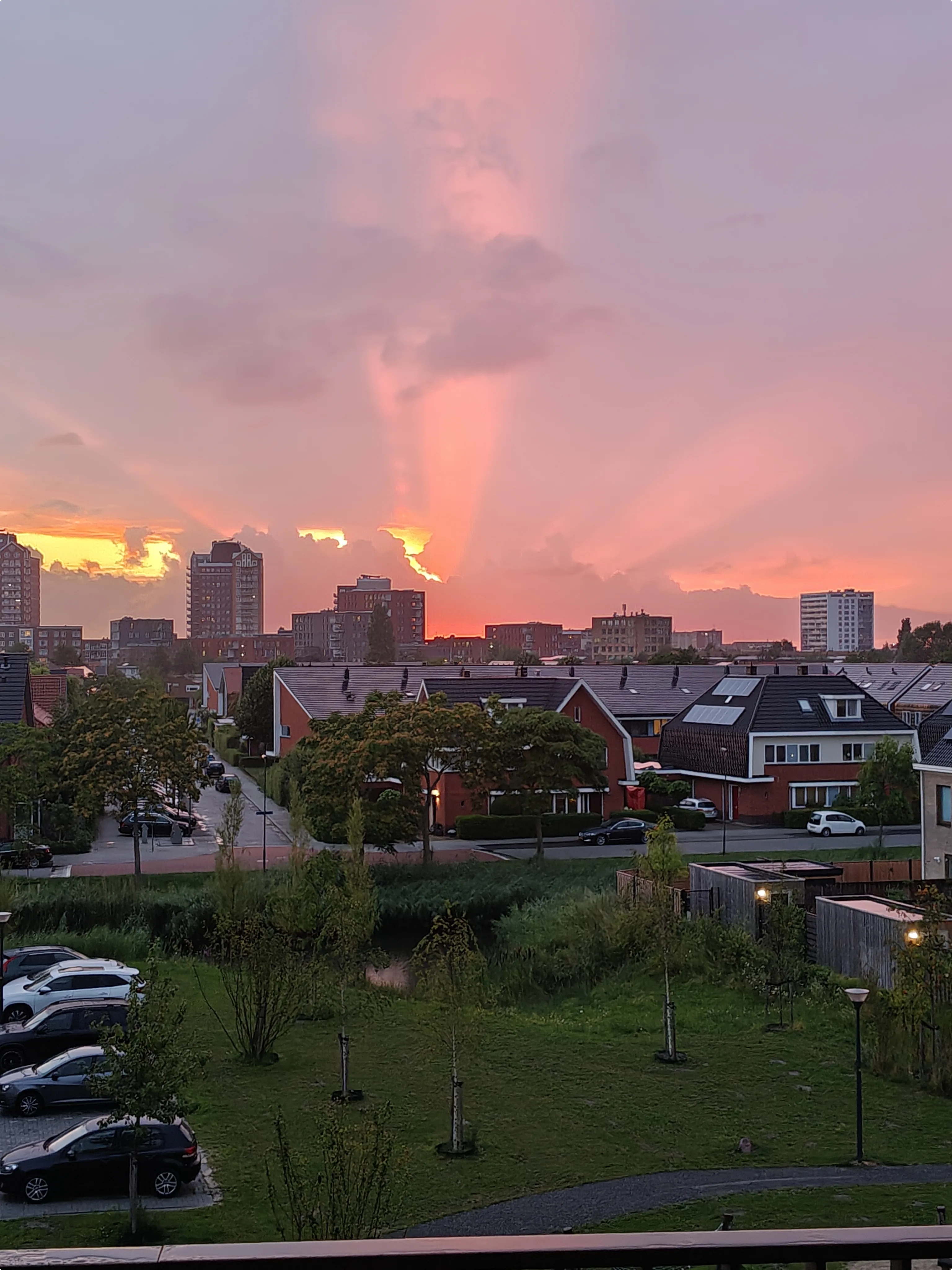 Zonsopgang in Zoetermeer: beeld: Ineke Loois