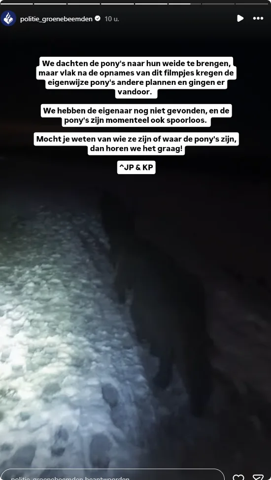 De oproep van de politie voor de weggelopen pony's