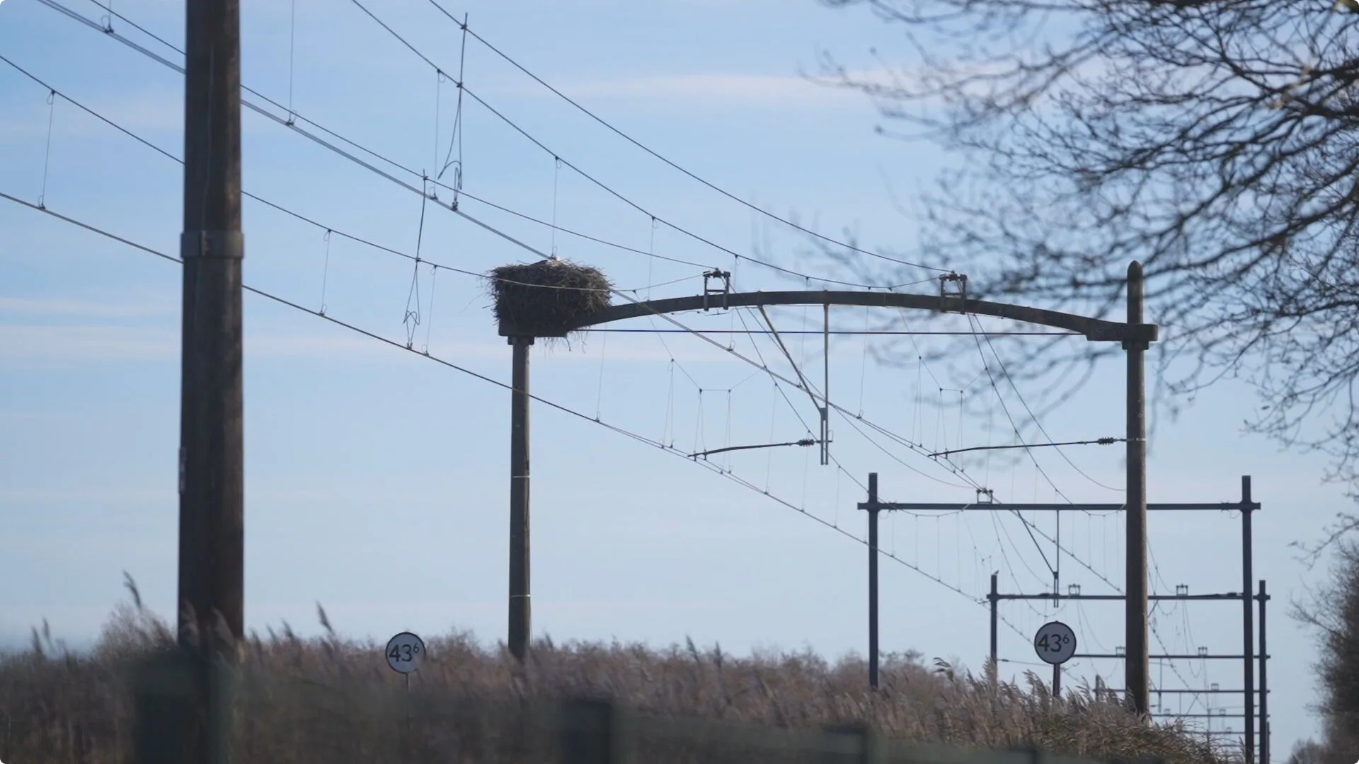 Ooienvaars boven spoor in Nuenen weer terug. Beeld: SQ Vision 