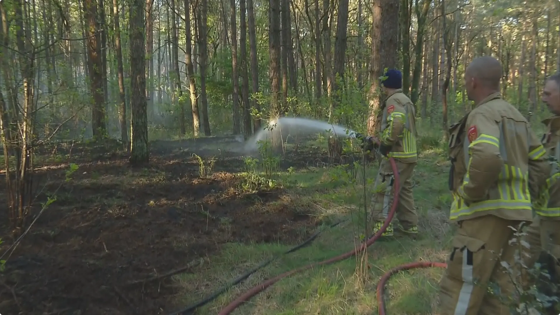 De brand in Helden was al snel onder controle. Beeld: Track'88