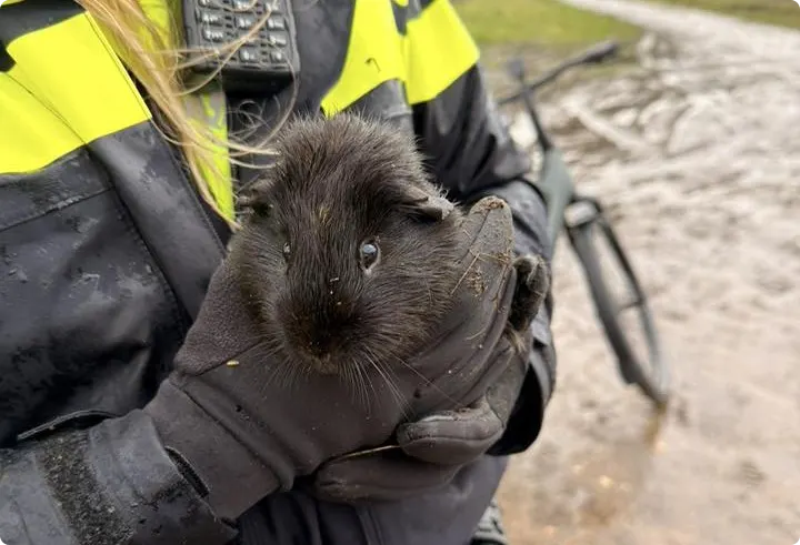 Bron: Facebook / Politie Basisteam Echt