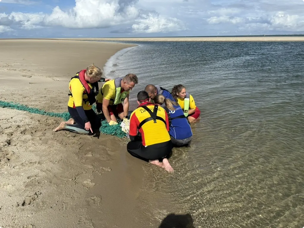 Zeehond met touw om nek gered op zandplaat bij Renesse. Van links naar rechts: lifeguard Sanne, lifeguard Arjen, lifeguard Julian, medewerkers Aseal en lifeguard in opleiding Anouk 