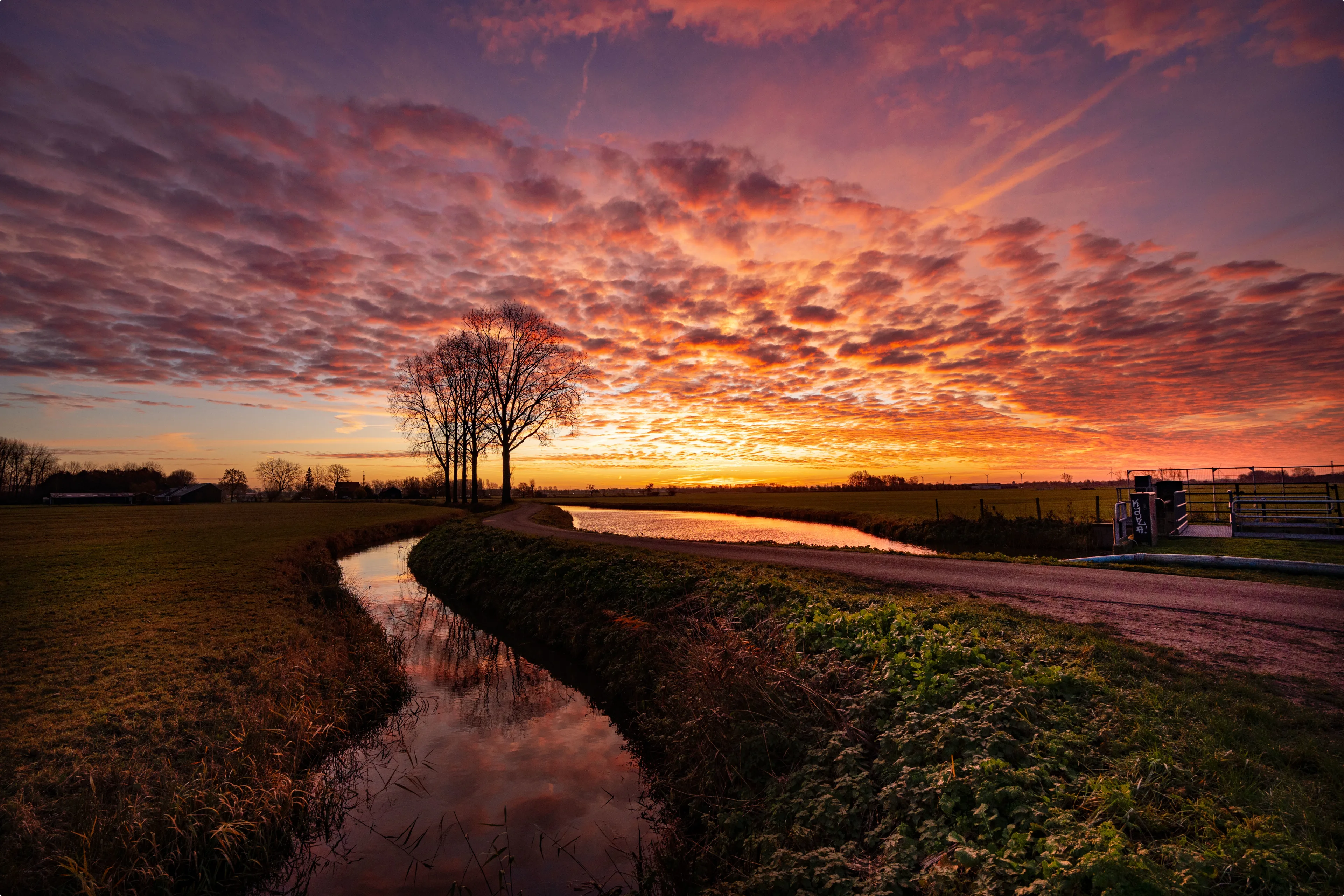 Beeld: Marinus de Keijzer, Rhenoy