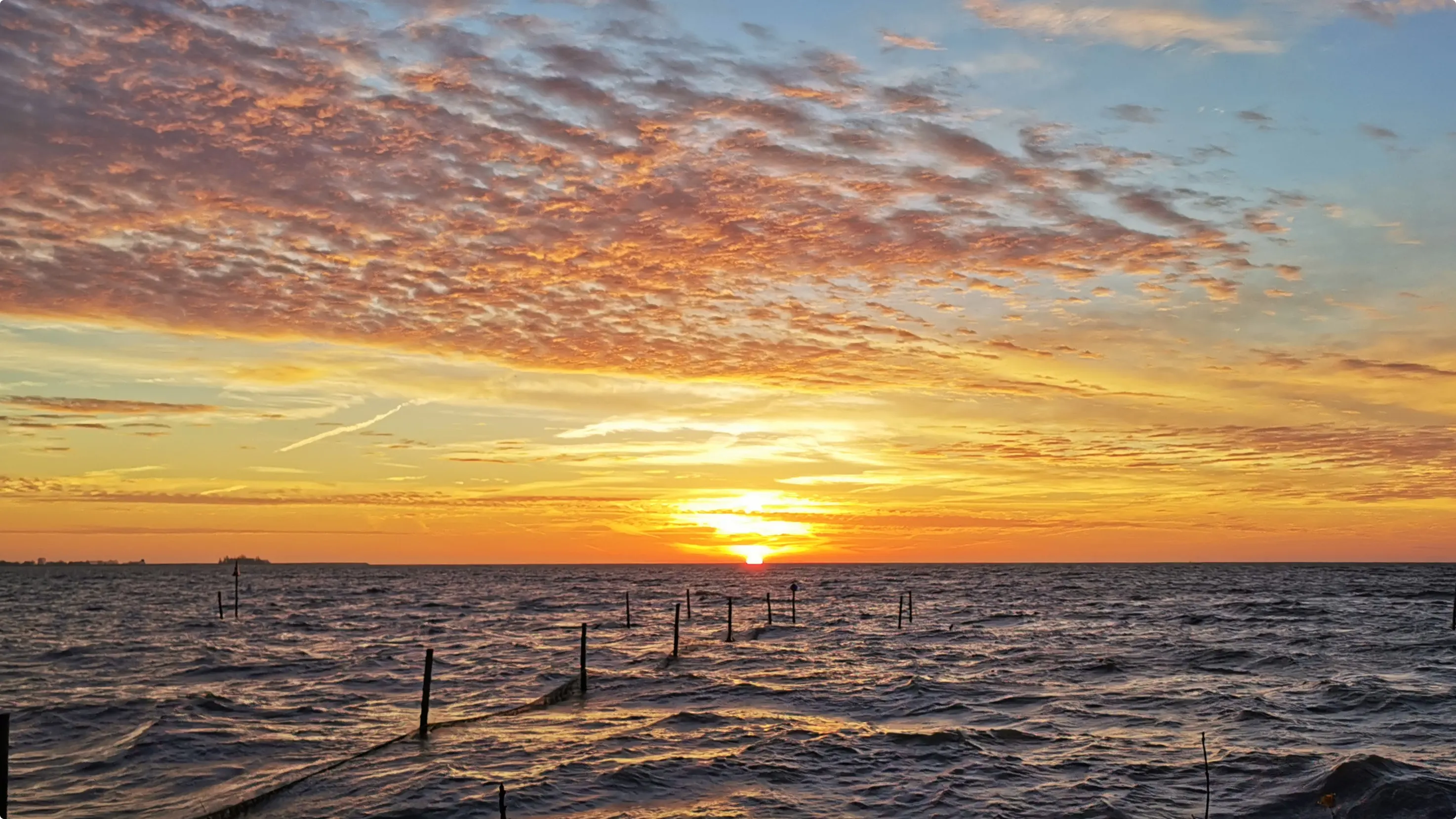 Beeld: Gerrie Zanbergen, Hoorn