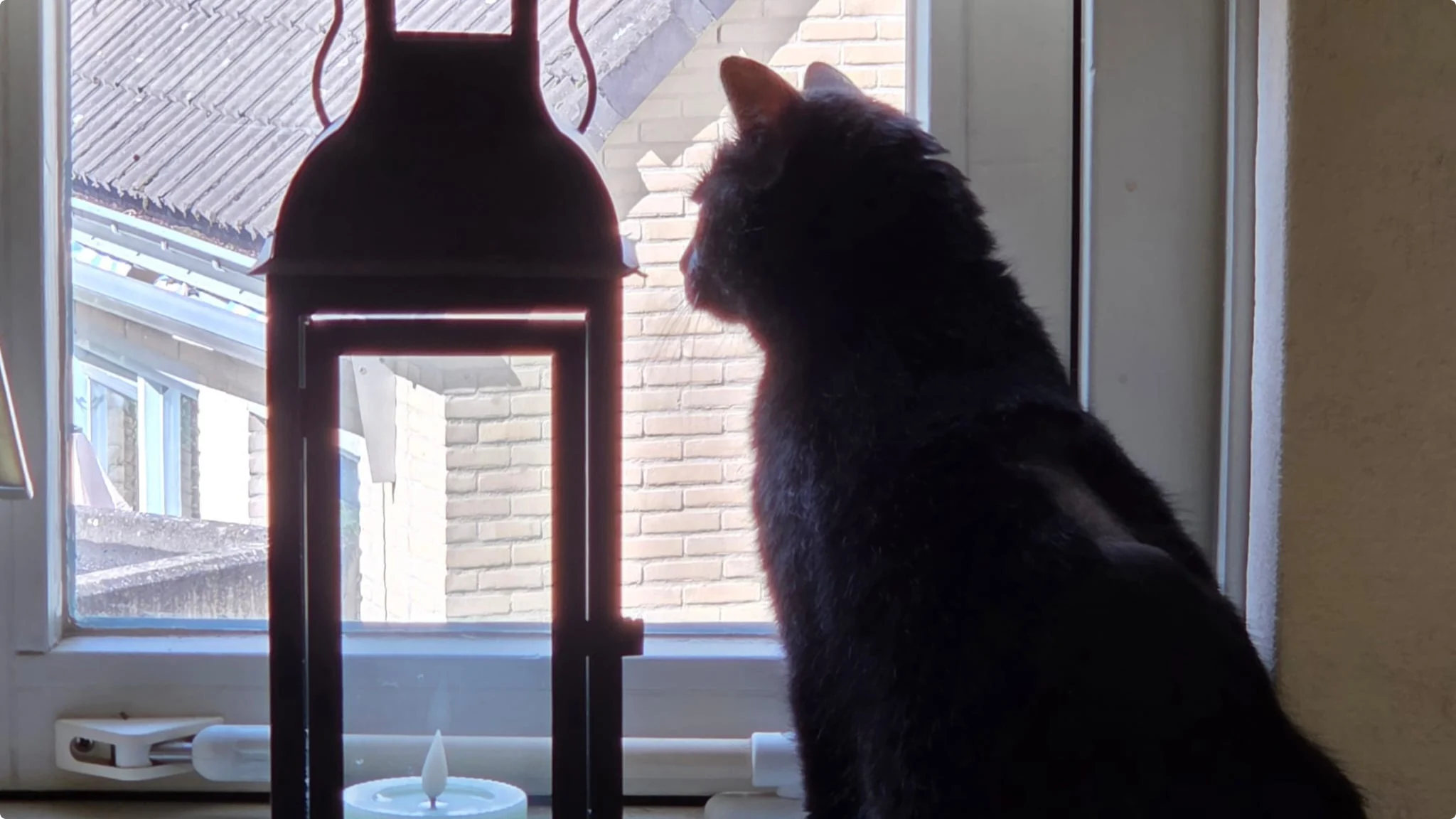 Beeld: adoptanten Bambi