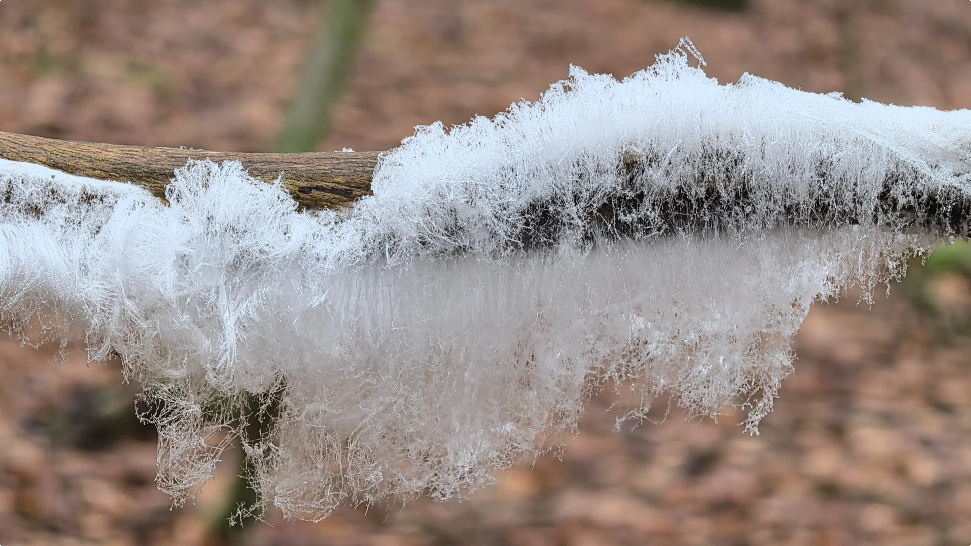 Renkum, foto: Ton de Brabander