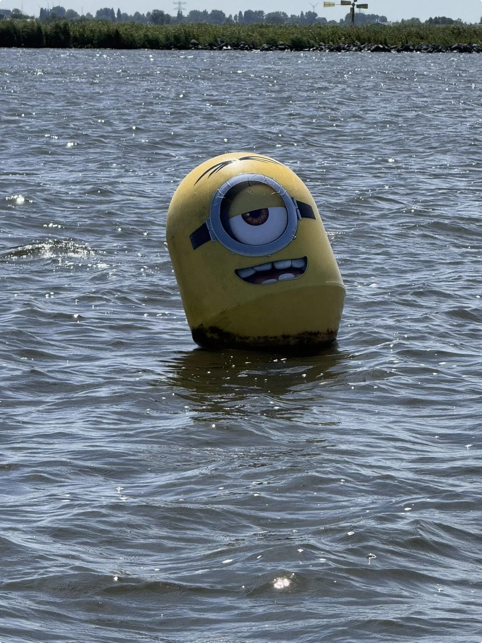 Ook deze Minion dobbert er vrolijk op los. Beeld: Bianca Ranzijn.