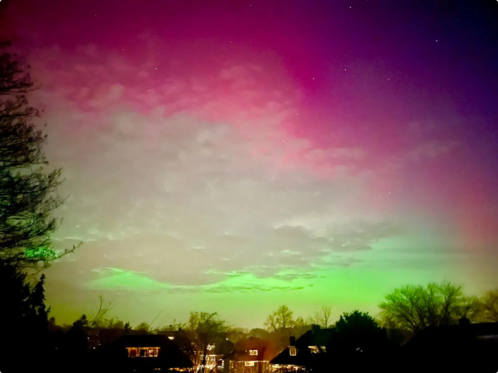 Het natuurgevoel werd ook goed vastgelegd in Arnhem. Beeld: Joya de Boer