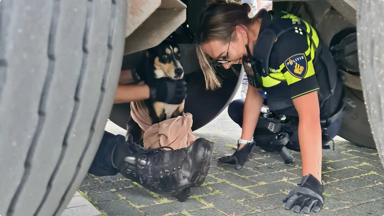 Politieagenten vangen hondje dat snelweg A12 dreigde op te rennen. Beeld: X / Wijkagent Rob Doorneveld
