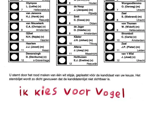 De zin 'Ik stem voor Vogel' op een stembiljet