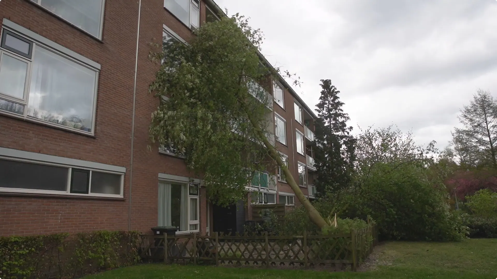 Boom waait tegen flat Deventer.