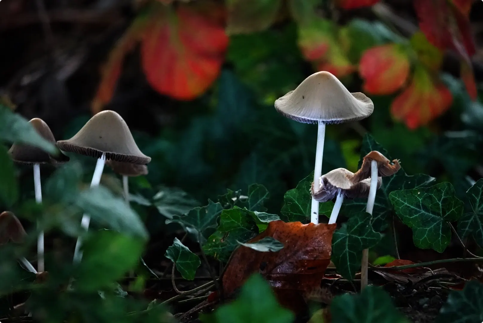 Leerdam. Foto: Fas Vermeulen