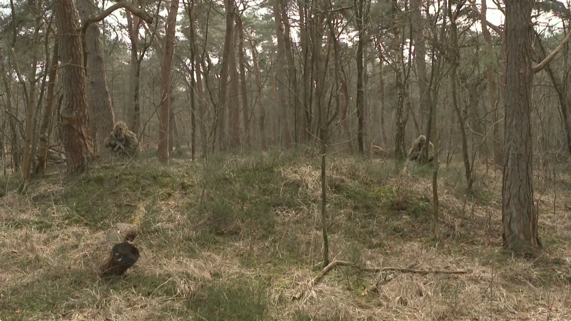 De militairen proberen op verschillende manieren onopgemerkt te blijven. Zie jij de militairen hierboven? Beeld: Hart van Nederland