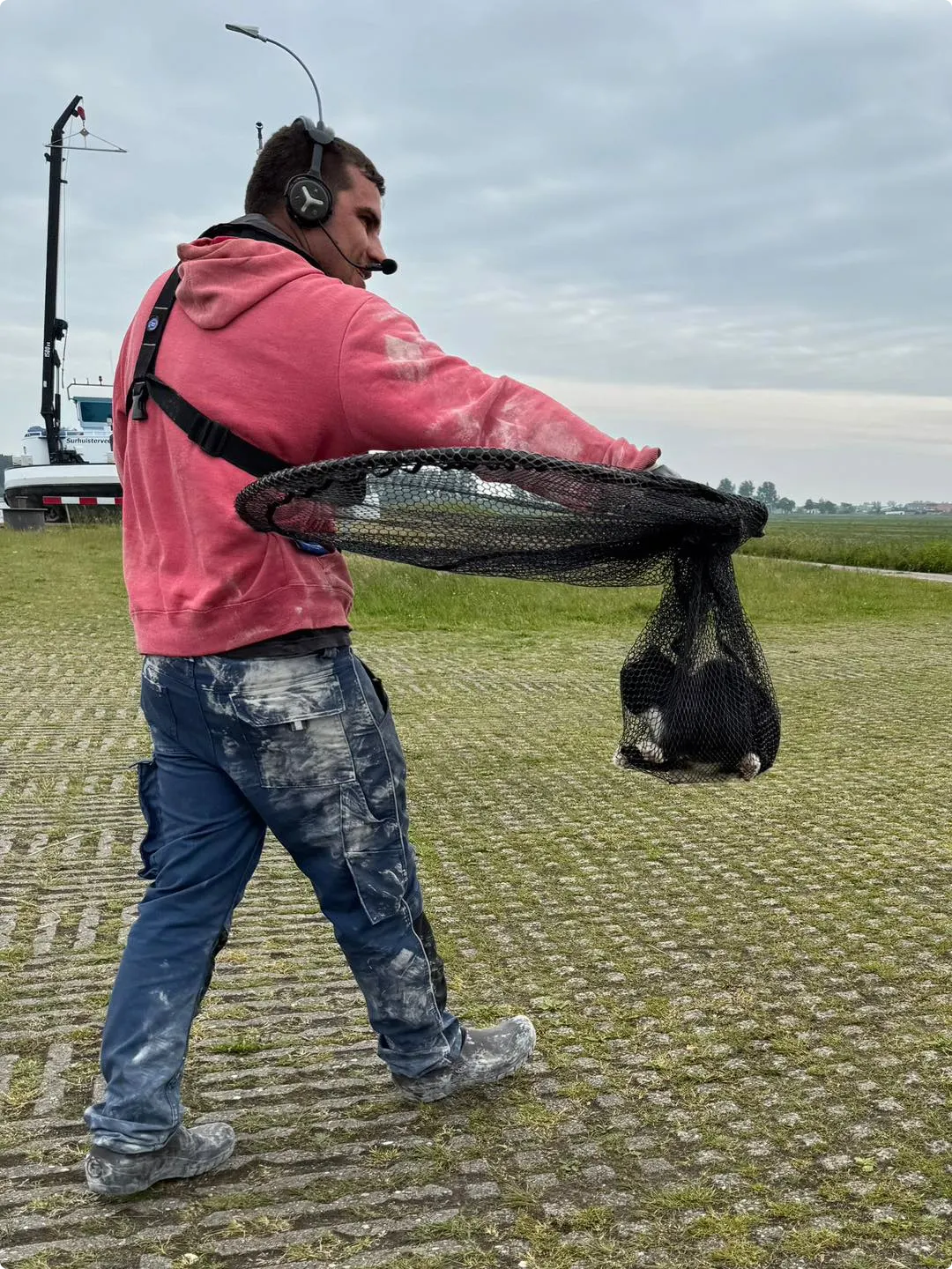 Bron: Dierenambulance De Meren