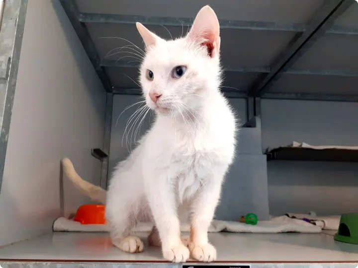 Met Benny gaat het een stuk beter.