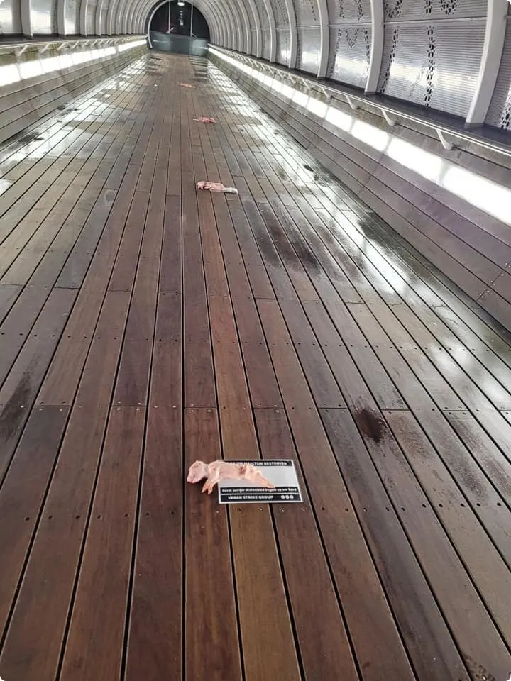 Foto van vegan actiegroep 4