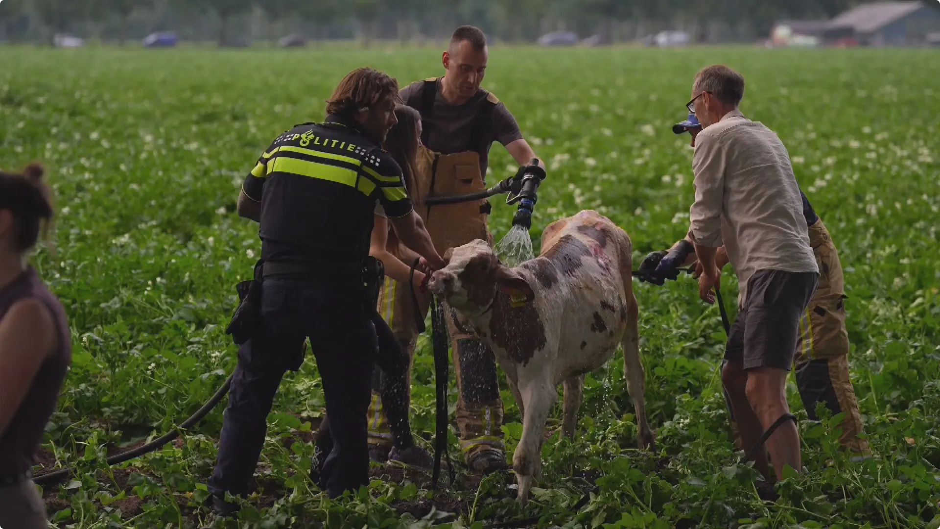 Beeld: SQ Vision