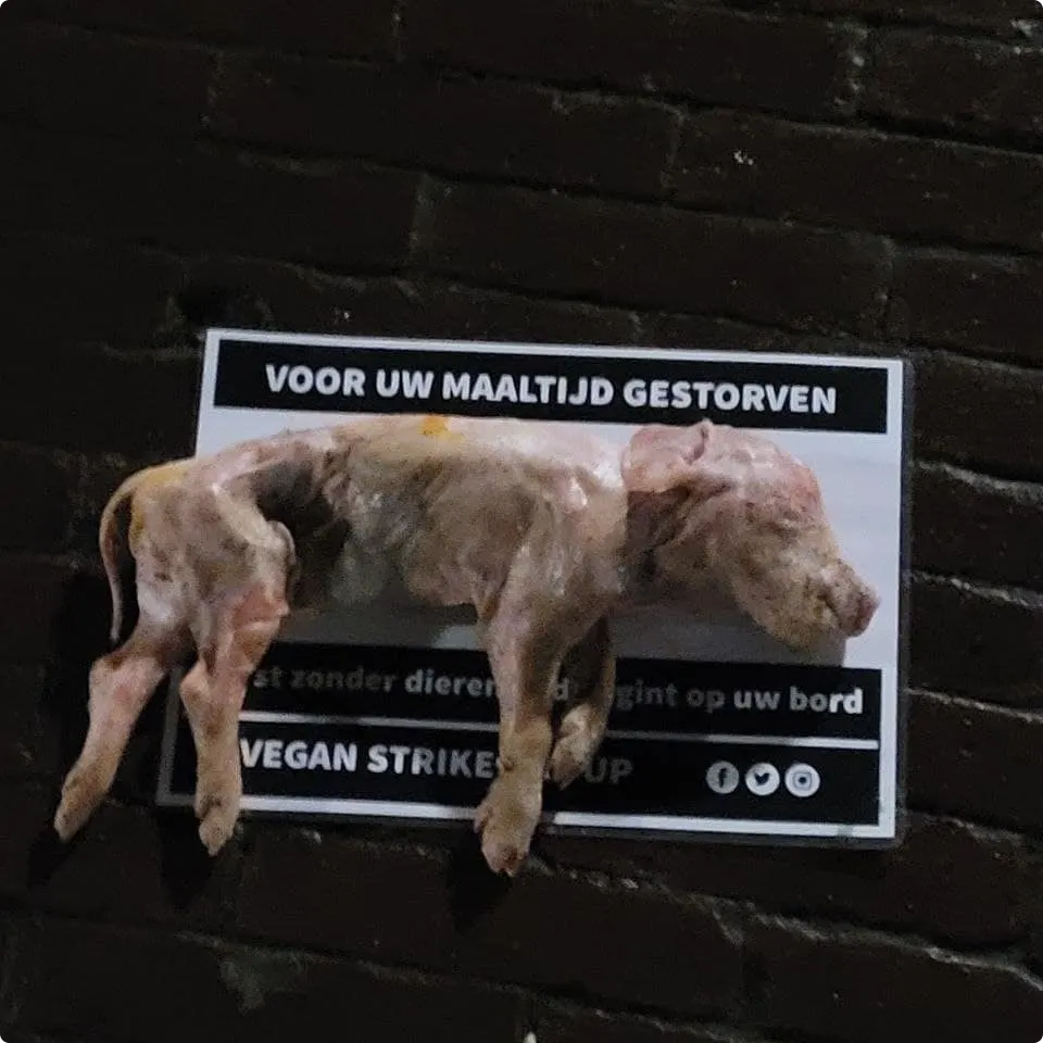 Foto van vegan actiegroep 1
