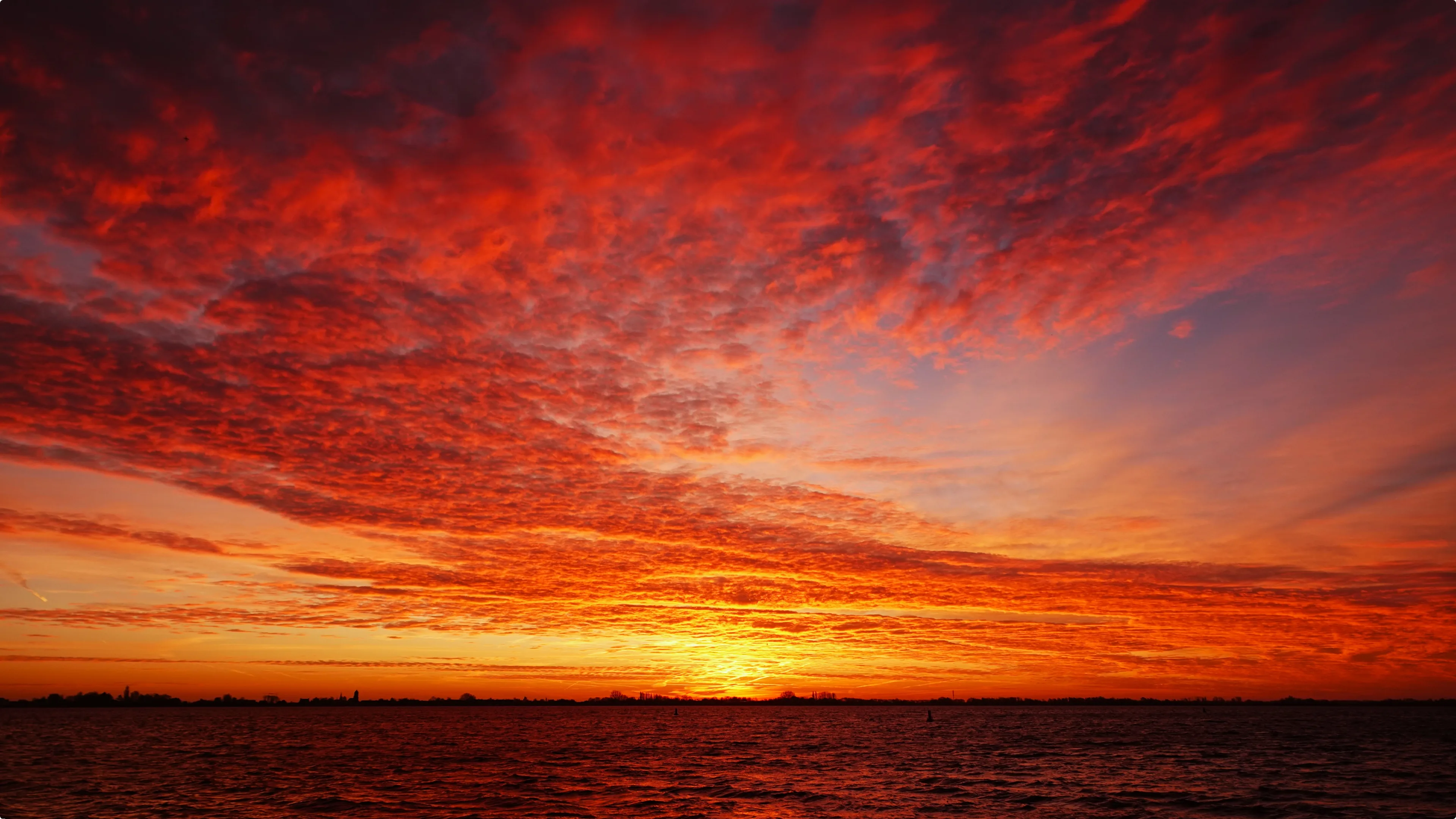 Beeld: Ton Wesselius, Roelofarendsveen
