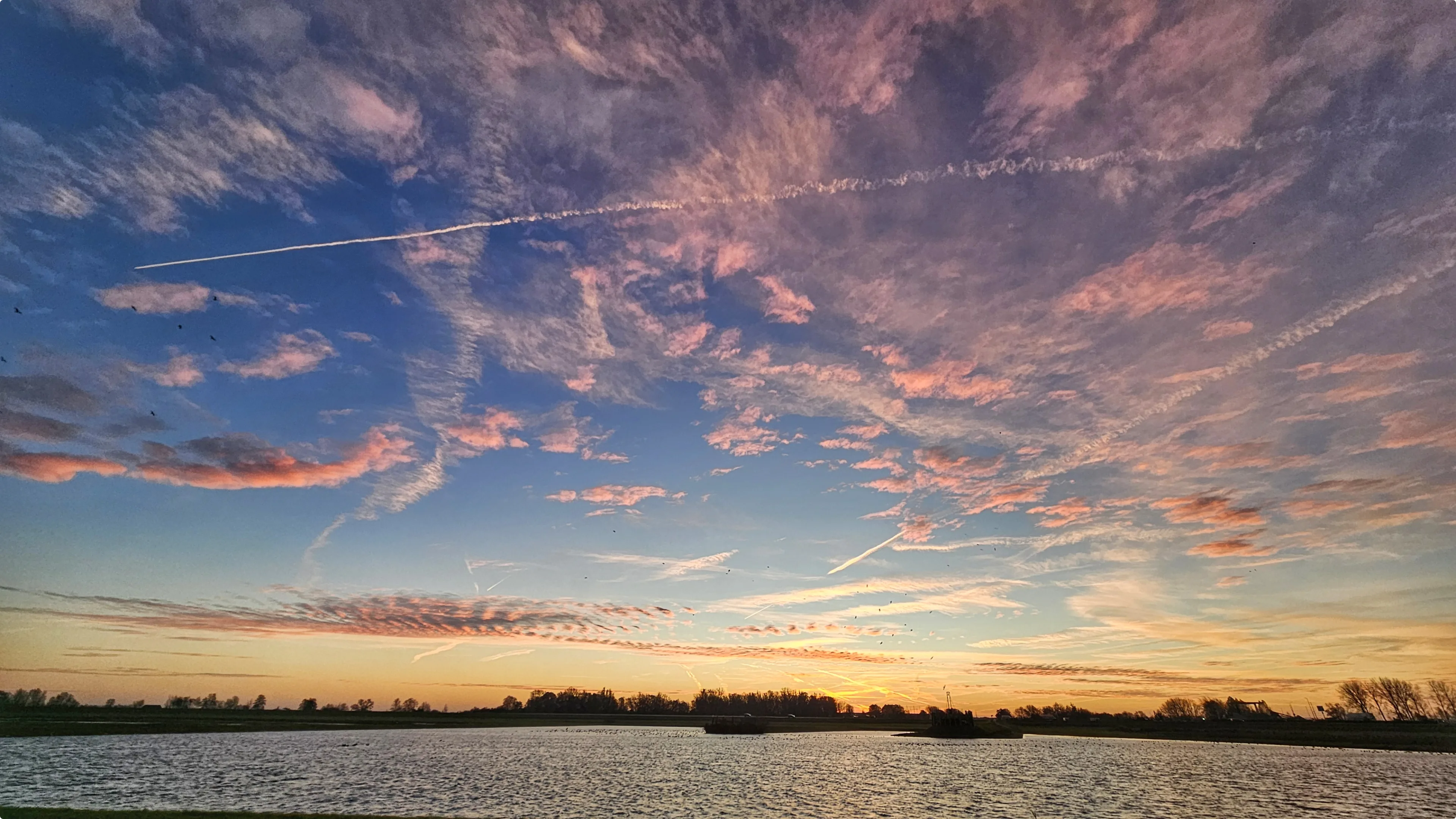 Beeld: Jannine Kroeze, Dronten