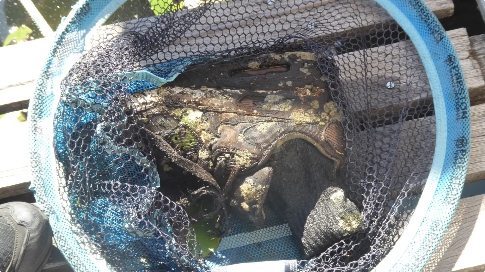 Ria vond dinsdagmiddag ineens het bot van een voet in een schoen. Beeld: Ria