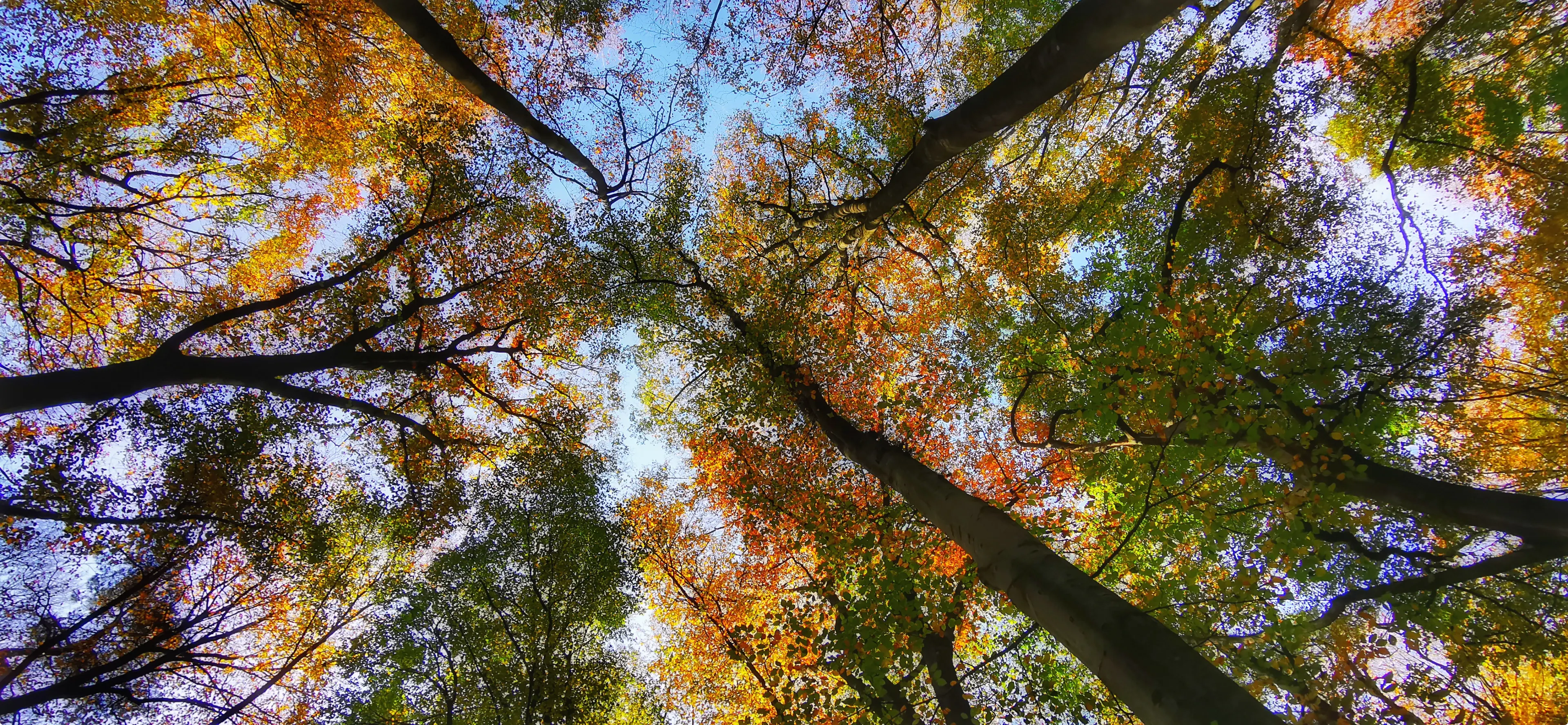 Arnhem. Foto: Joyce Derksen