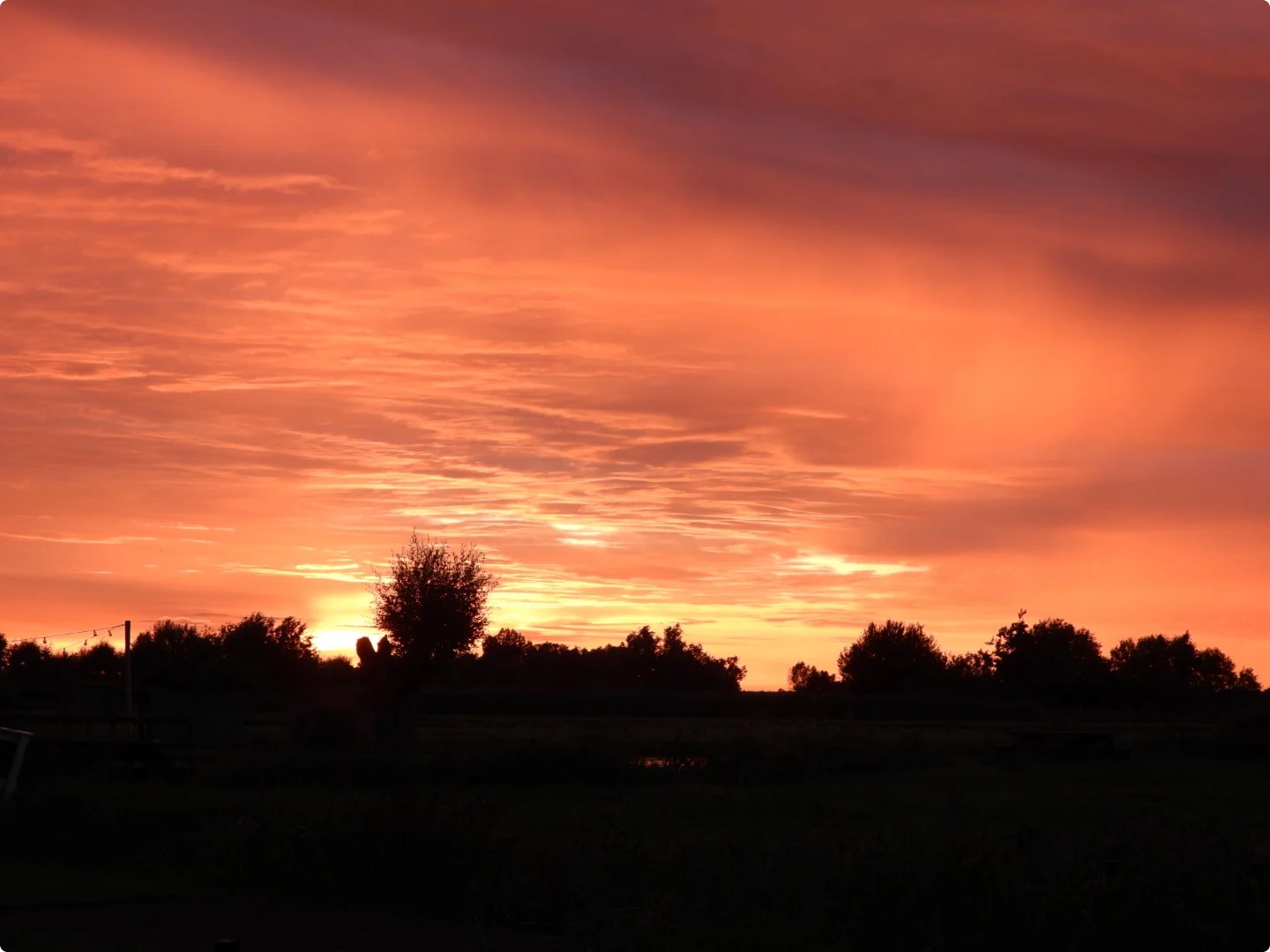 Wormer kleurt oranje, beeld: Sacha van Rietschoten