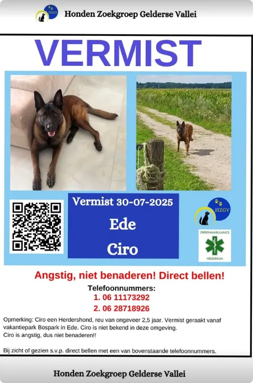 Beeld: Honden Zoekgroep Gelderse Vallei