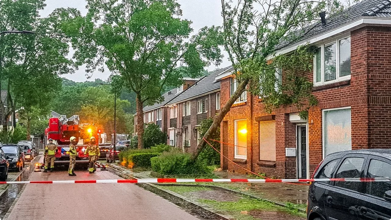 Bomen op huizen in Enschede. Foto: SPS Media