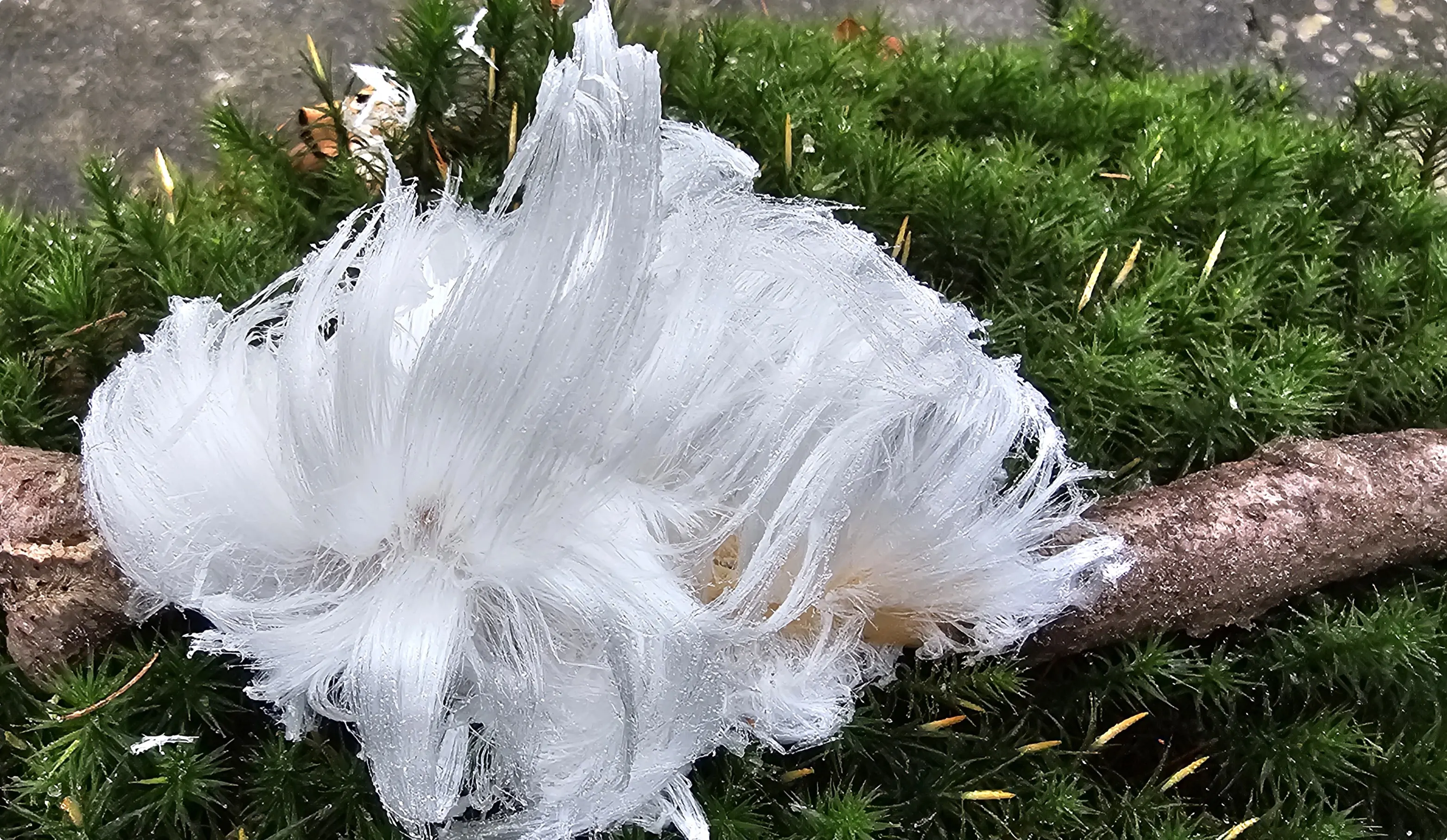 Venray, foto: Rob Beckers