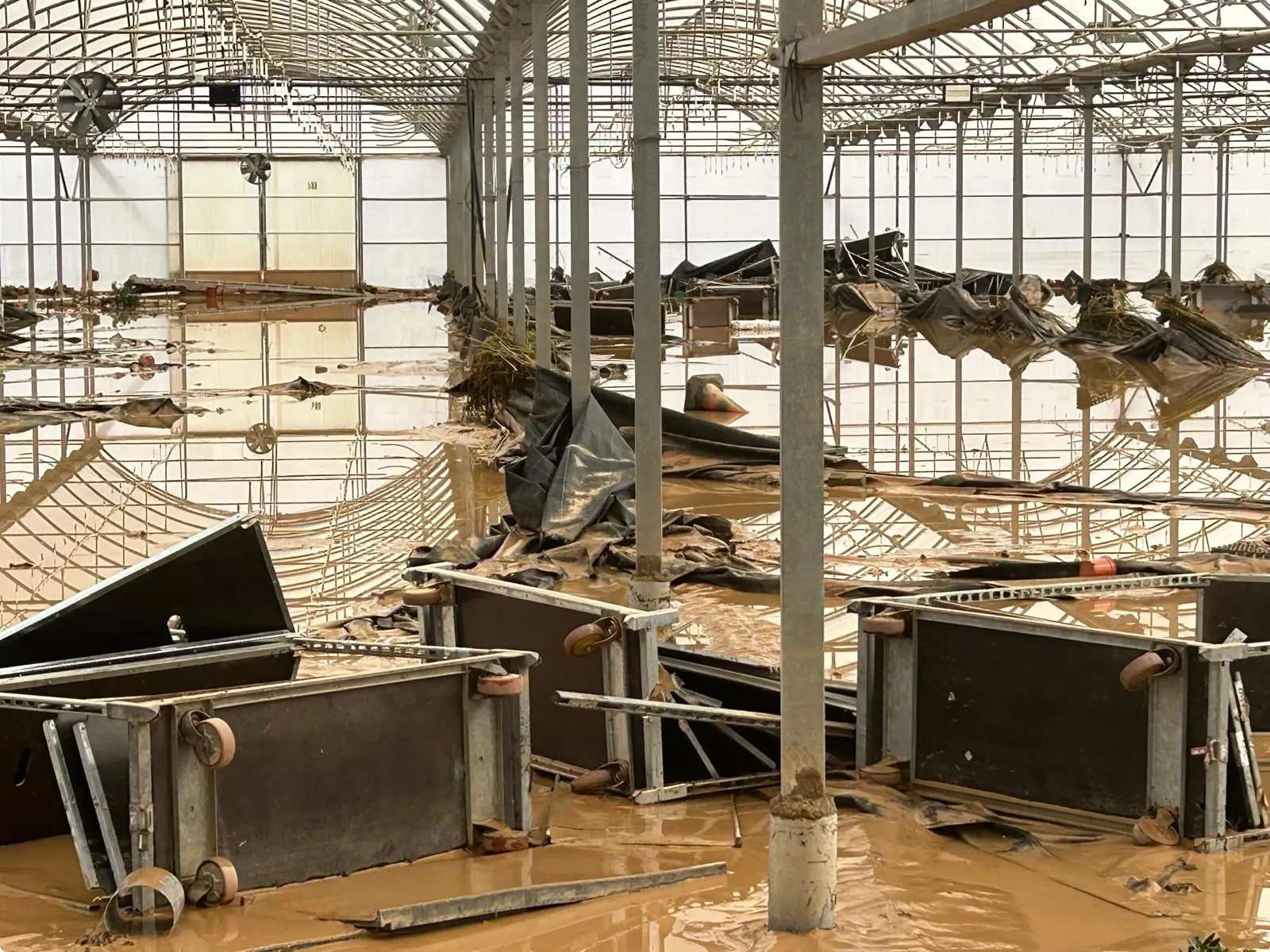 Het verwoeste bedrijf van boer Hein