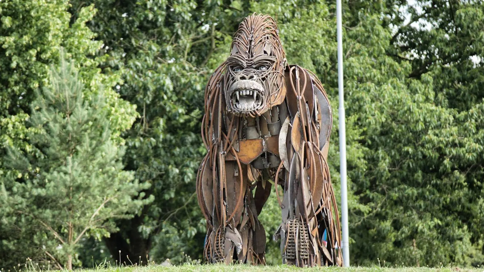 Het beeld van de Gorilla. Foto: Ton Pors