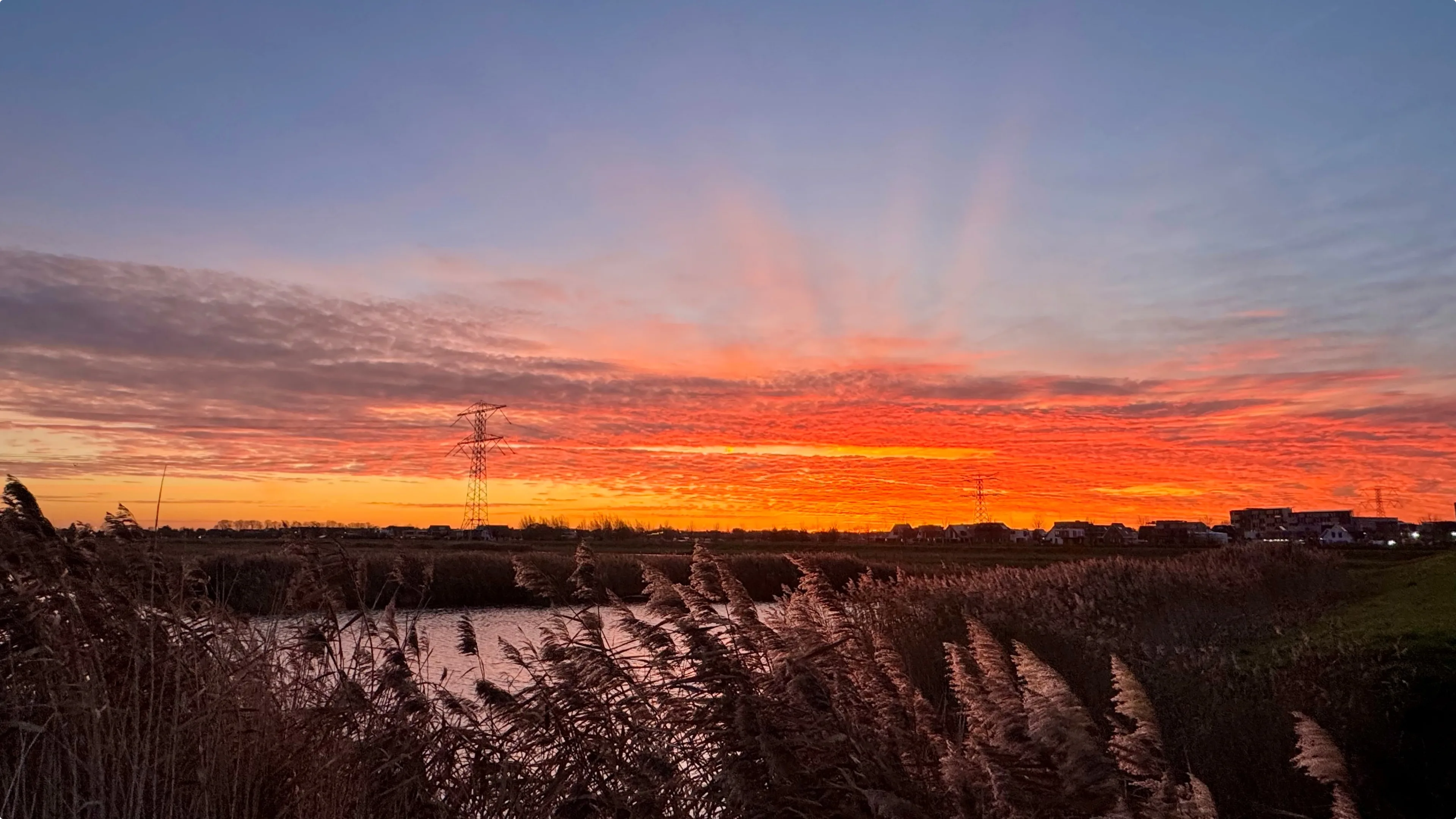 Beeld: Jolanda Bakker, Zevenhuizen