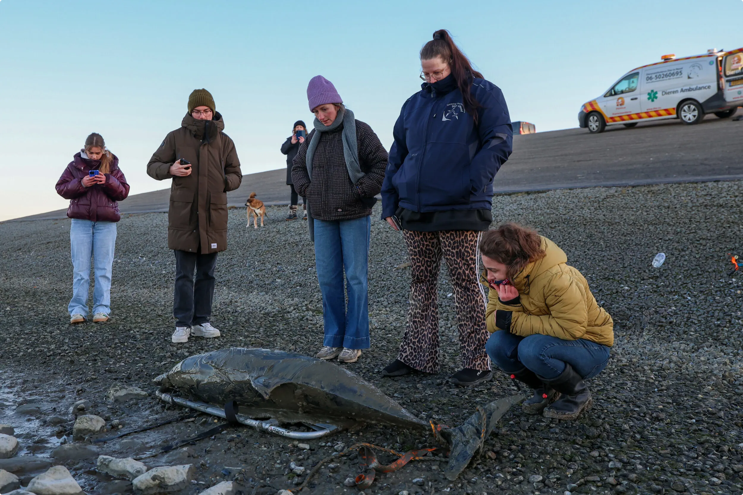 Inwoners van het dorp Wierum en wandelaars zagen het gebeuren en kwamen een kijkje nemen. Beeld CAMJO Media