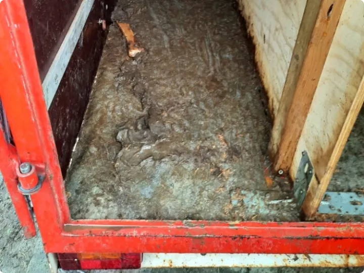 De vloer van de aanhanger van bedekt met een centimeters dikke laag ontlasting.