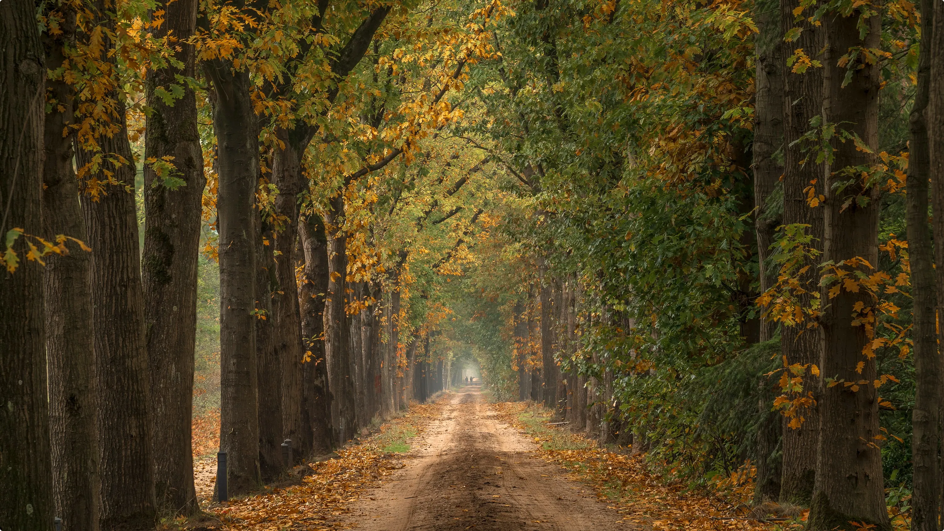 Beesd. Foto: Chris Biesheuvel